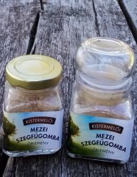   Mezei szegfgomba rlemny (Szcs Mrta)