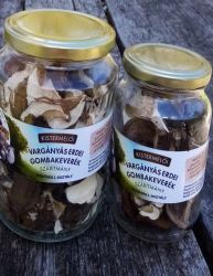   Vargnys erdei gombakeverk szrtmny (Szcs Mrta)