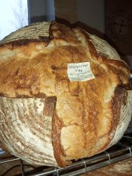   Kovszos Pityks kenyr 1 kg (irnytott kovszos) - Telek Pksg