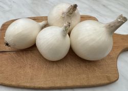   Fehrhagyma